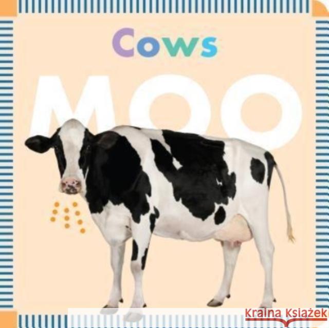 Farm Animals: Cows Moo Rebecca Glaser 9781681521251 Amicus Ink