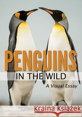 Penguins in the Wild  9781682033722 Amherst Media