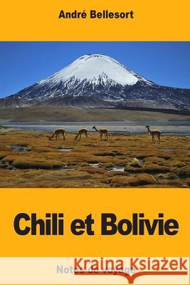 Chili et Bolivie Bellesort, Andre 9781718778450 Createspace Independent Publishing Platform