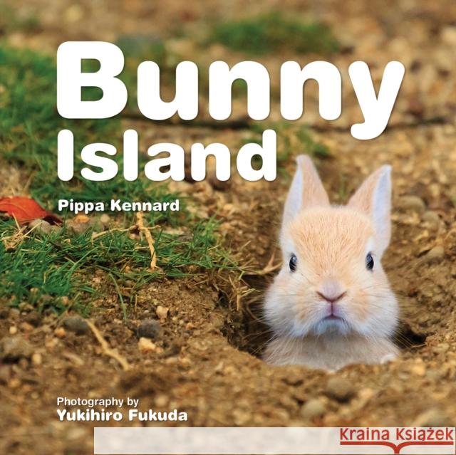 Bunny Island Philippa Kennard Yukihiro Fukuda 9781770856578 Firefly Books