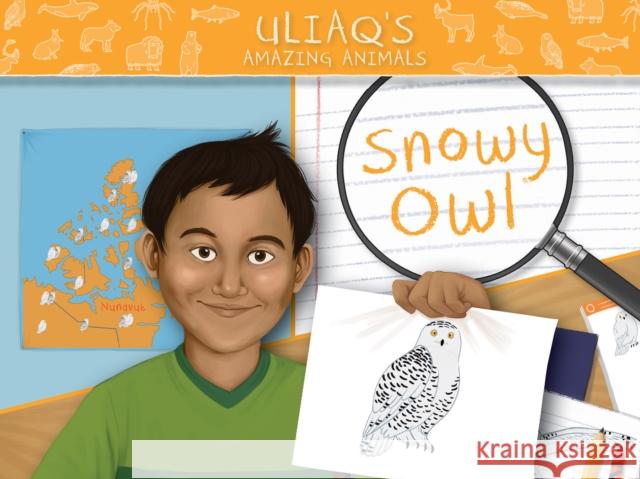 Uliaq's Amazing Animals: Snowy Owl: English Edition Amelia Spedaliere Amanda Sandland 9781774500682 Inhabit Education Books Inc.