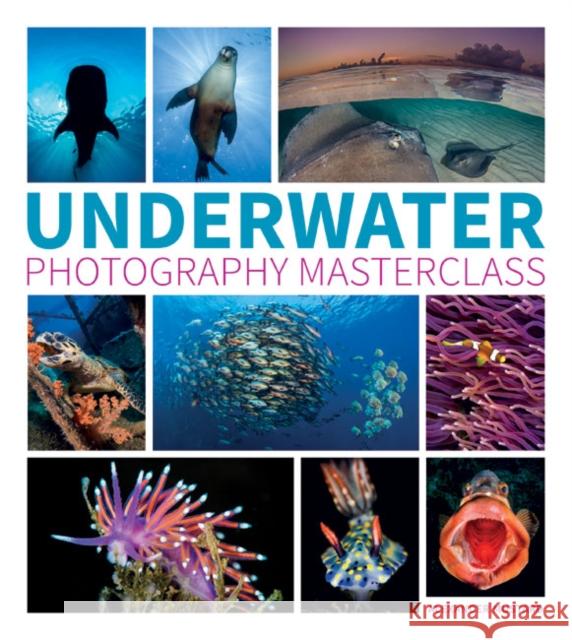 Underwater Photography Masterclass Alexander Mustard 9781781452226 GMC Publications