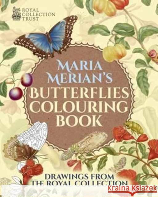 Butterflies Colouring Book Merian, Maria Sibylla 9781784286378 Arcturus Publishing Ltd