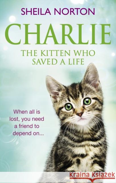 Charlie the Kitten Who Saved a Life Sheila Norton 9781785034190 Ebury Press