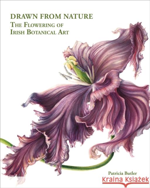 Drawn From Nature: The Flowering of Irish Botanical Art Patricia Butler 9781788842365 ACC Art Books