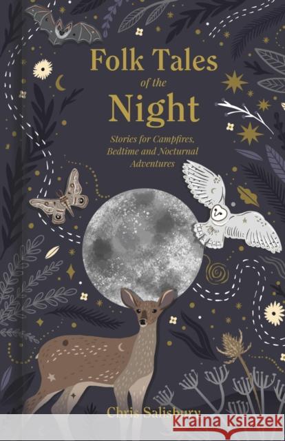 Folk Tales of the Night: Stories for Campfires, Bedtime and Nocturnal Adventures Chris Salisbury 9781803990392 The History Press Ltd