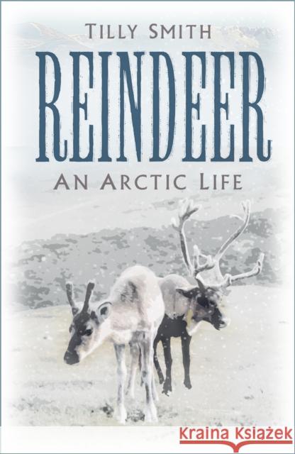 Reindeer: An Arctic Life Tilly Smith 9781803990651 The History Press Ltd