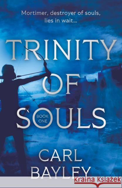 Trinity of Souls Carl Bayley 9781805142140 Troubador Publishing