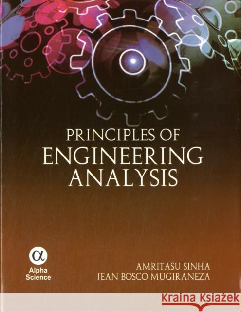 Principles of Engineering Analysis A Sinha 9781842657010 0