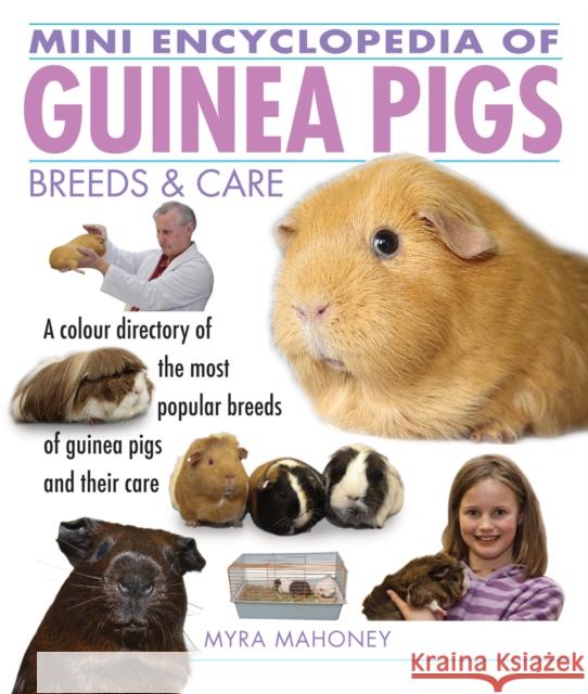 Mini Encyclopedia of Guinea Pigs Breeds and Care Myra Mahoney, Lyndon Nowell, Hillary Russell 9781842862261 Interpet Publishing
