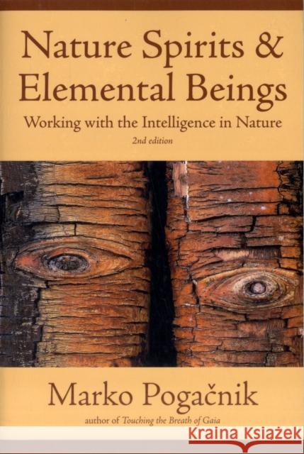 Nature Spirits & Elemental Beings: Working with the Intelligence in Nature Marko Pogacnik 9781844091751 Findhorn Press Ltd