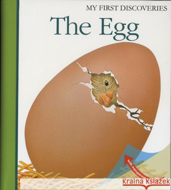 The Egg Sarah Matthews 9781851033805 Moonlight Publishing Ltd