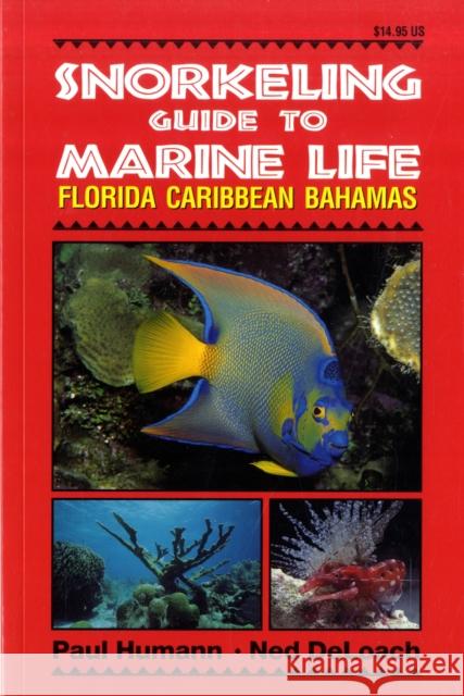 Snorkeling Guide to Marine Life: Florida, Caribbean, Bahamas Paul Humann, Ned DeLoach 9781878348104 New World Publications Inc.,U.S.