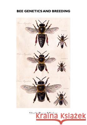 Bee Genetics and Breeding Thomas E. Rinderer 9781904846291 Northern Bee Books