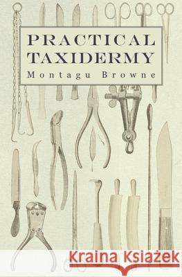 Practical Taxidermy: A Manual of Instruction to the Amateur in Collecting, Preserving, and Setting up Natural History Specimens of All Kind Browne, Montagu 9781905124367 Read Country Books