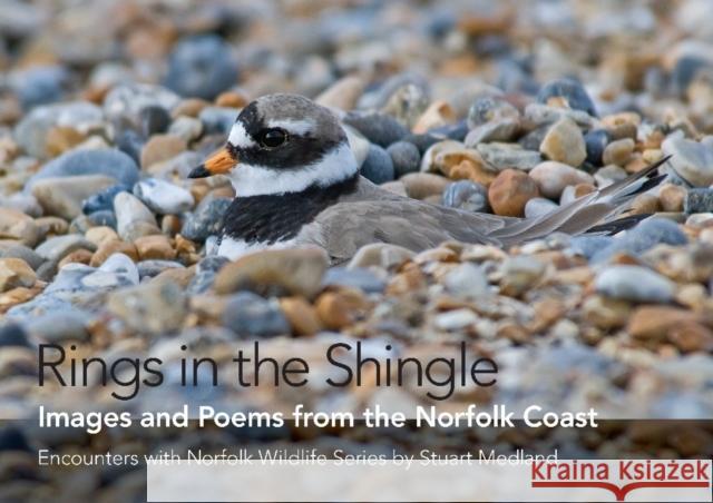 Rings in the Shingle: Images and Poems from the Norfolk Coast  9781908241160 Brambleby Books