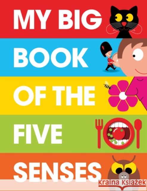 My Big Book of the Five Senses   9781908473110 PatrickGeorge