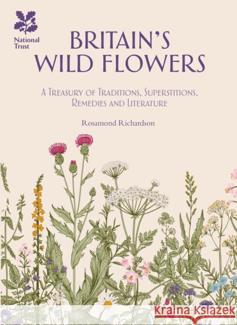 Britain's Wild Flowers: A Treasury of Traditions, Superstitions, Remedies and Literature Rosamond Richardson 9781909881921 HarperCollins Publishers