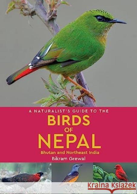 A Naturalist's Guide to the Birds of Nepal Bikram Grewal 9781912081394 John Beaufoy Publishing Ltd
