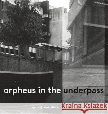 Orpheus in the Underpass Gabriel Rosenstock, Ross McKessock 9781912111701 Onslaught Press