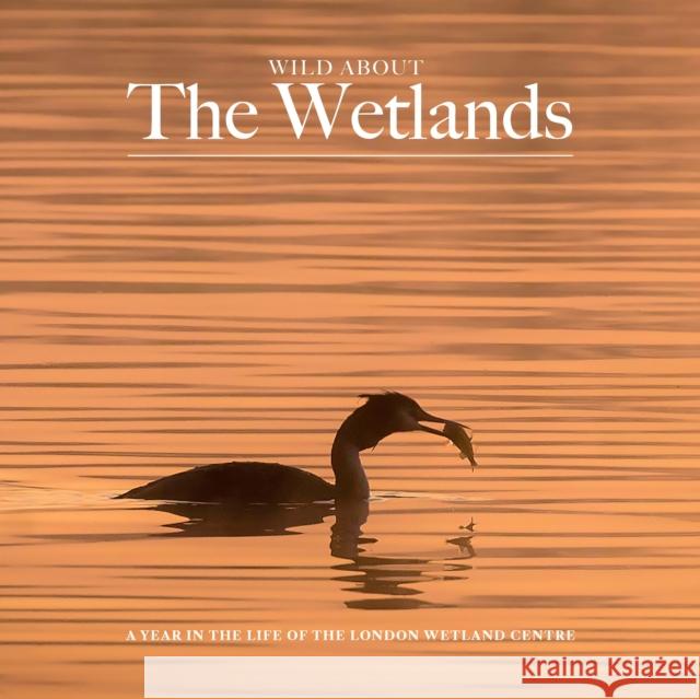 Wild about The Wetlands: A Year in the Life of The London Wetland Centre Andrew Wilson 9781916485839 Unity Print and Publishing Ltd