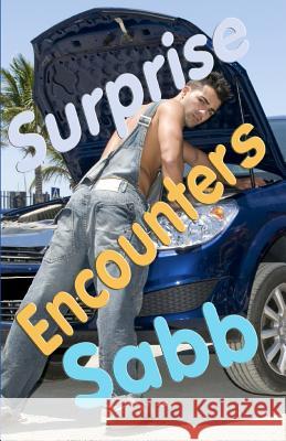 Surprise Encounters: A Gay Erotica Anthology Sabb 9781925190533 Barbarianspy