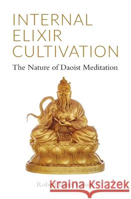 Internal Elixir Meditation: The Nature of Daoist Meditation Robert James Coons 9781943155132 Tambuli Media