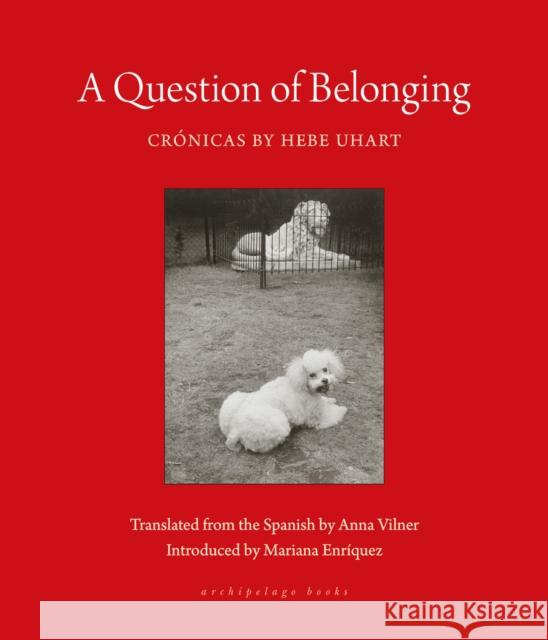 A Question Of Belonging: Cronicas Anna Vilner 9781953861801 