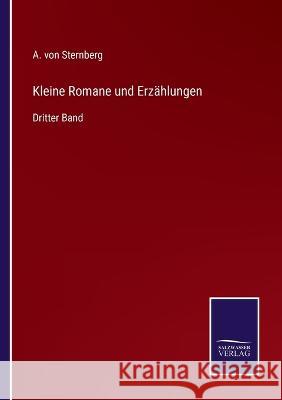 Kleine Romane und Erzählungen: Dritter Band Sternberg, A. Von 9783375079963 Salzwasser-Verlag