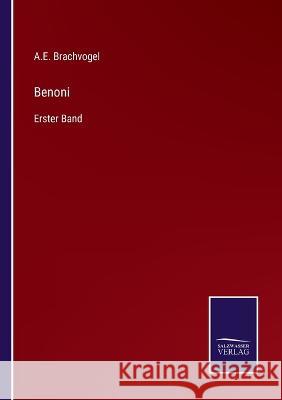 Benoni: Erster Band A E Brachvogel 9783375115166 Salzwasser-Verlag