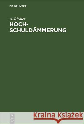 Hochschuldämmerung A Riedler 9783486746693 Walter de Gruyter