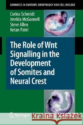 The Role of Wnt Signalling in the Development of Somites and Neural Crest Corina Schmidt Imelda McGonnell Steve Allen 9783540777267 Not Avail