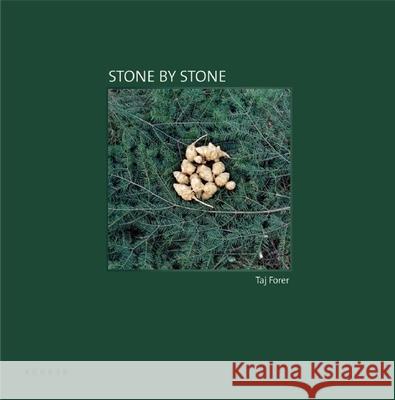Stone By Stone Taj Forer 9783868282153 Kehrer Verlag
