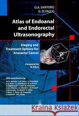 Atlas of Endoanal and Endorectal Ultrasonography: Staging and Treatment Options for Anorectal Cancer Santoro, Giulio A. 9788847002456 Springer