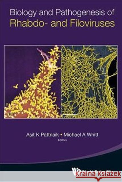 Biology and Pathogenesis of Rhabdo- And Filoviruses Asit Kumar Pattnaik Michael A. Whitt Asit K. Pattnaik 9789814635332 World Scientific Publishing Company