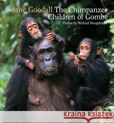 Chimpanzee Children of Gombe Jane Phd Goodall Michael Neugebauer 9789888240838 Minedition