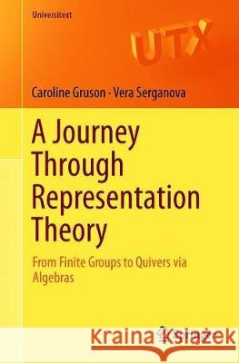 A Journey Through Representation Theory: From Finite Groups to Quivers Via Algebras Gruson, Caroline 9783319982694 Springer - książka