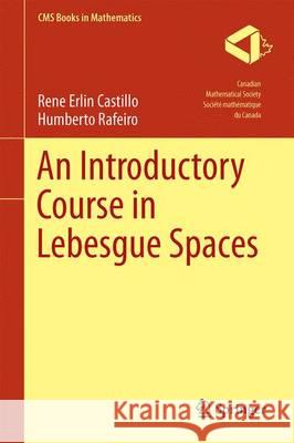 An Introductory Course in Lebesgue Spaces Rene Erlin Castillo Humberto Rafeiro 9783319300320 Springer - książka