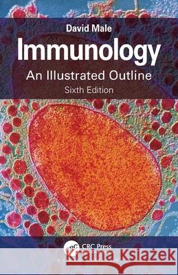 Immunology: An Illustrated Outline David Male 9780367681395 Taylor & Francis Ltd - książka