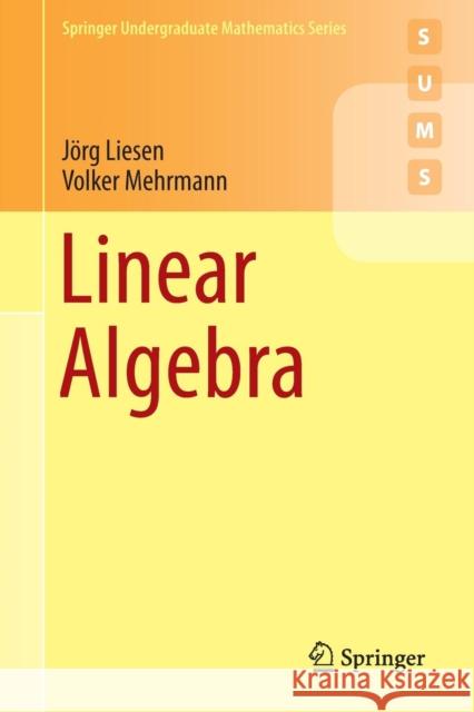 Linear Algebra Volker Mehrmann Jorg Liesen 9783319243443 Springer - książka
