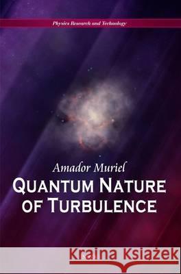 Quantum Nature of Turbulence Amador Muriel 9781617289309 Nova Science Publishers Inc - książka