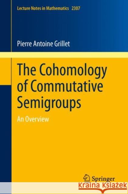 The Cohomology of Commutative Semigroups: An Overview Pierre Antoine Grillet 9783031082115 Springer International Publishing AG - książka