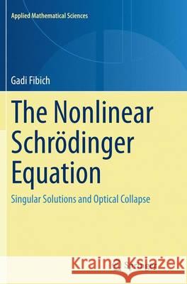 The Nonlinear Schrödinger Equation: Singular Solutions and Optical Collapse Fibich, Gadi 9783319375960 Springer - książka
