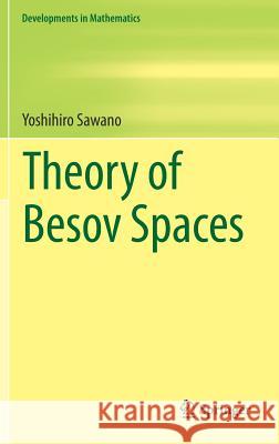 Theory of Besov Spaces Yoshihiro Sawano 9789811308352 Springer - książka