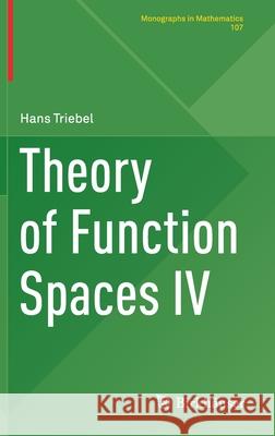 Theory of Function Spaces IV Hans Triebel 9783030358907 Birkhauser - książka