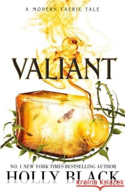 Valiant: A Modern Faerie Tale Holly Black 9781398525948 Simon & Schuster Ltd - książka
