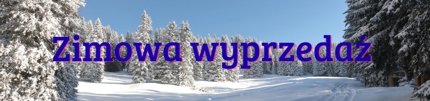 Zimowa wyprzedaż